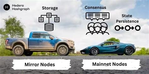 Validator Nodes, Hedera (HBAR), Risk-Reward Ratio
